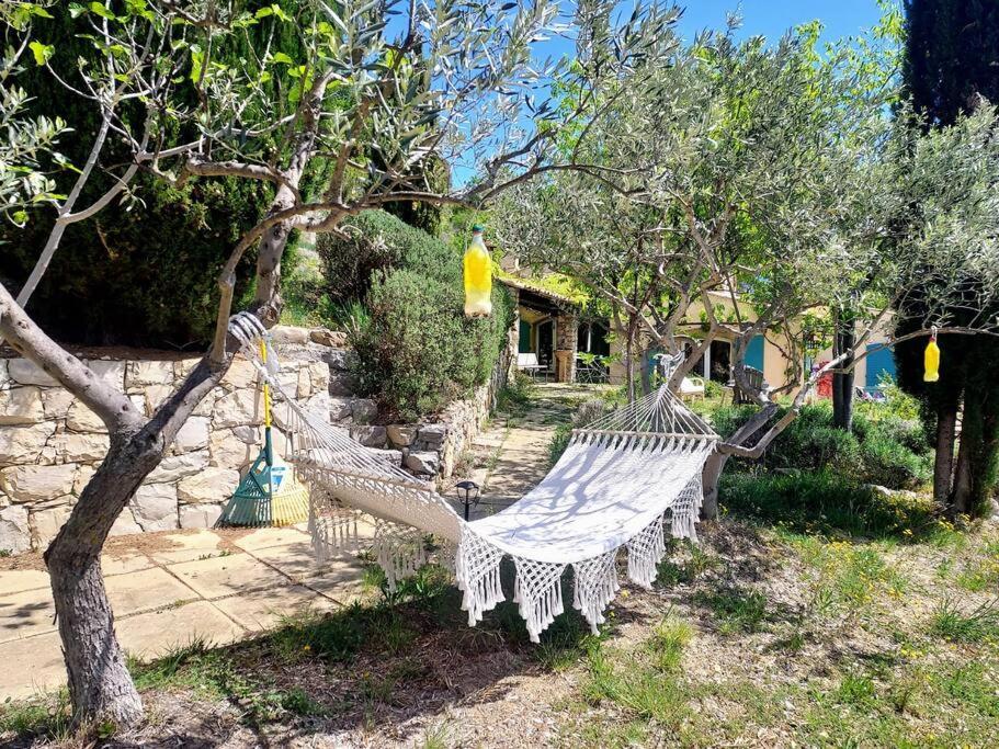 La Maison De Ninia Digne-les-Bains Esterno foto